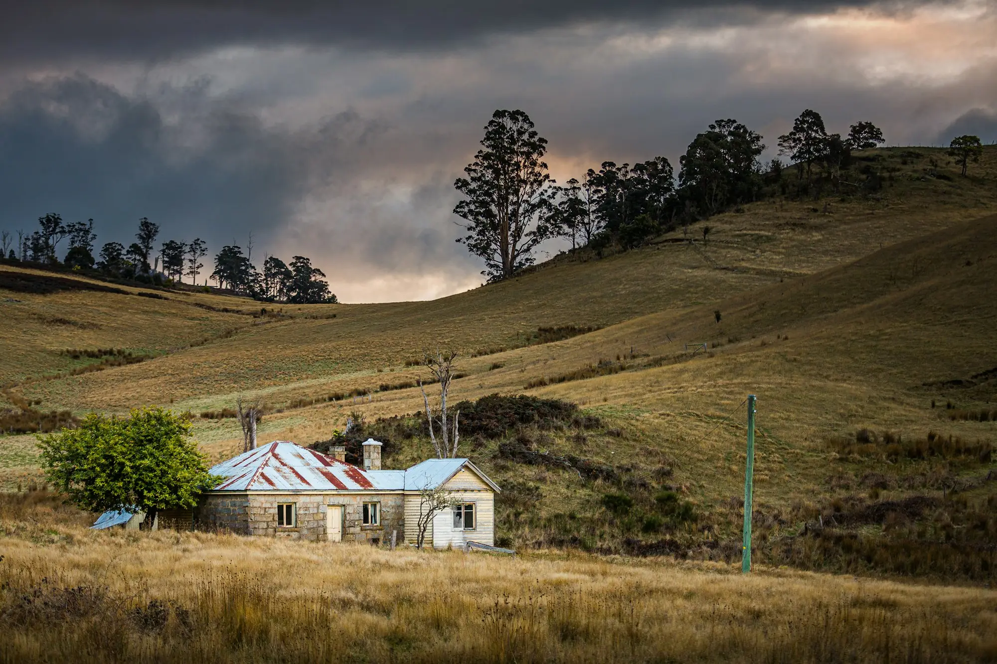 Farmhouse and shed in green rolling paddocks in Tasmania
